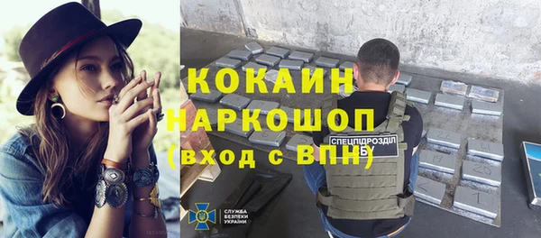 индика Ельня