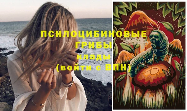 трава Алексин